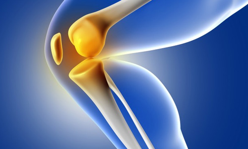X-ray where knee bone is highlighted